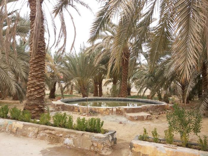 Amun Oasis Featured In The Luna Legacy Book By Paula Wynne