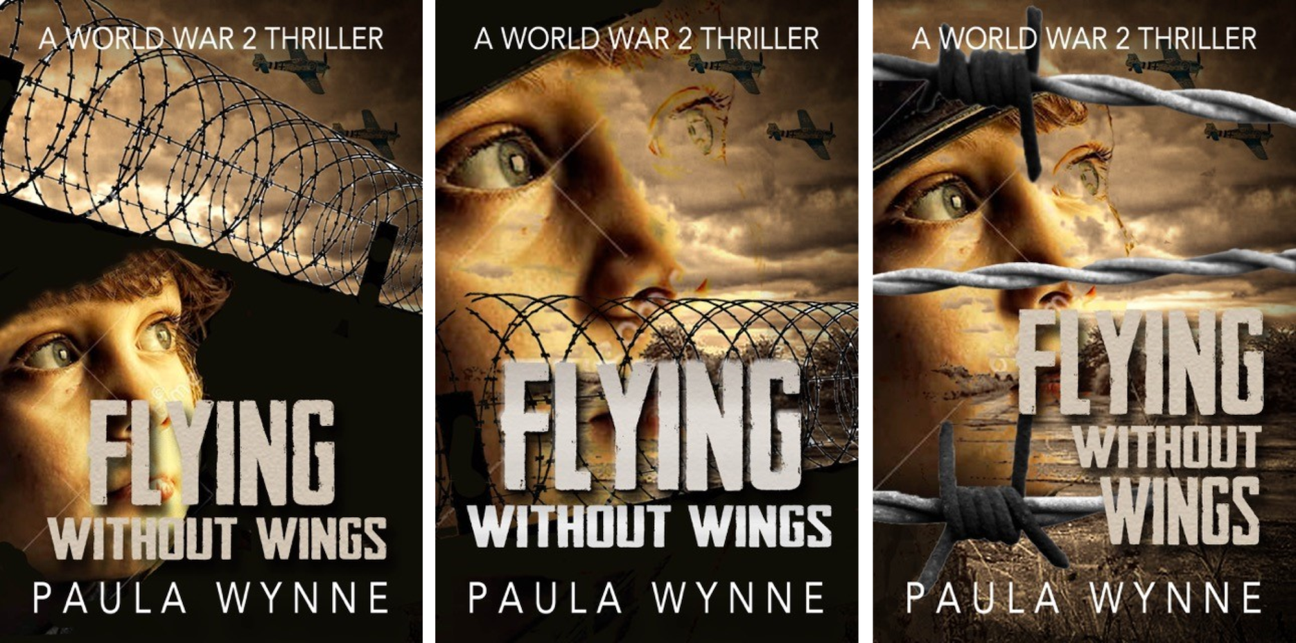 Flying Without Wings Cover Vote Book By Paula Wynne