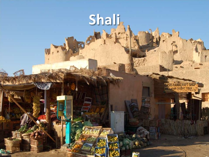 Siwa Shop Featured In The Luna Legacy Book By Paula Wynne