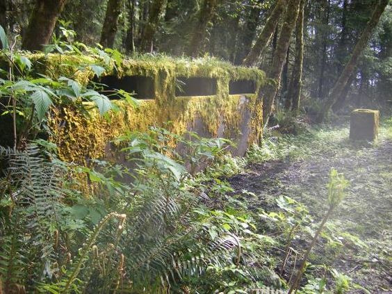 World War II Hidden Bunker Flying Without Wings Book By Paula Wynne