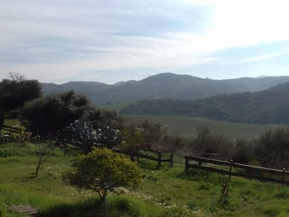View From My Writing Room