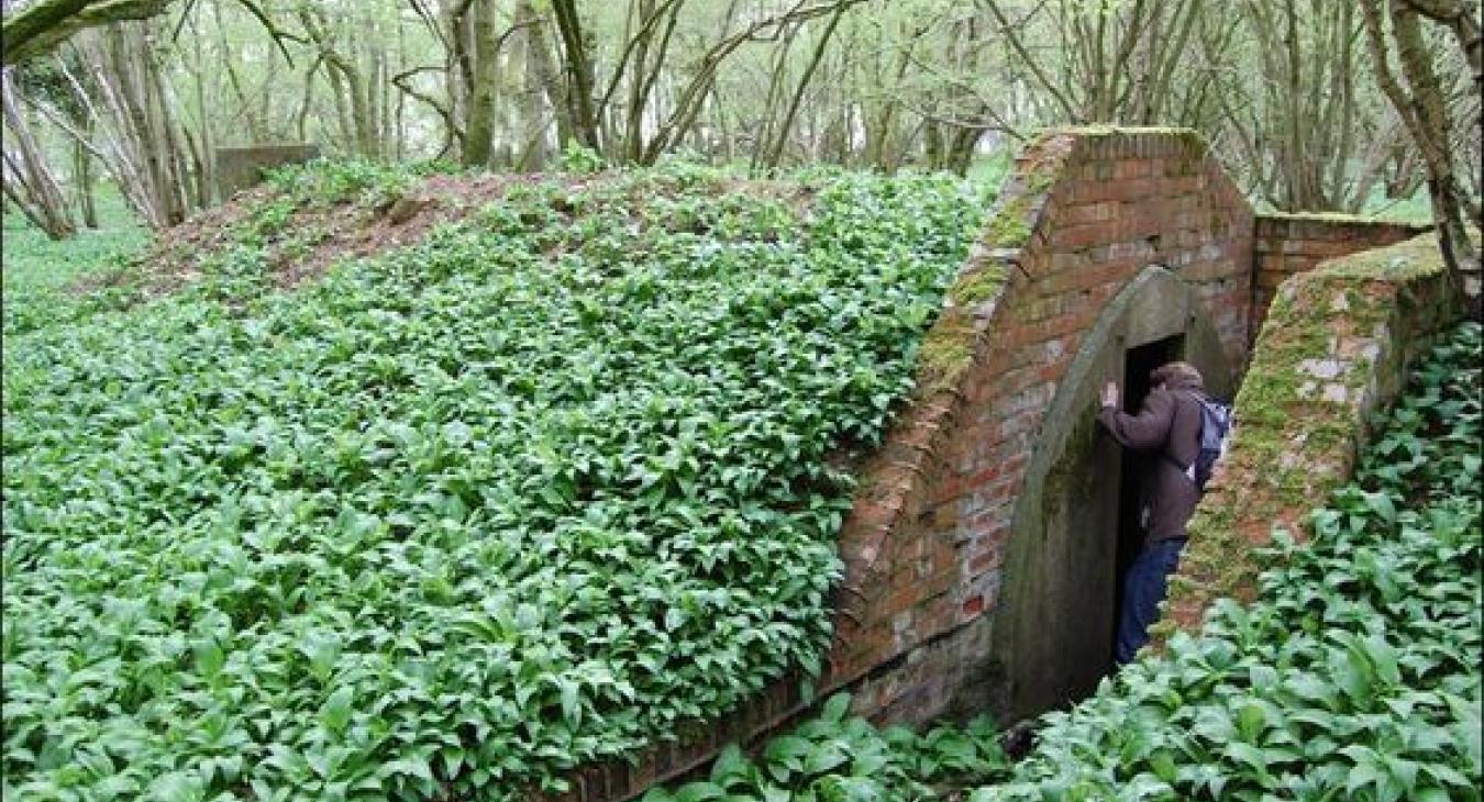 Hidden World War II Air Raid Shelter Flying Without Wings Book By Paula Wynne